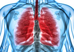 asbestos pleural thickening found